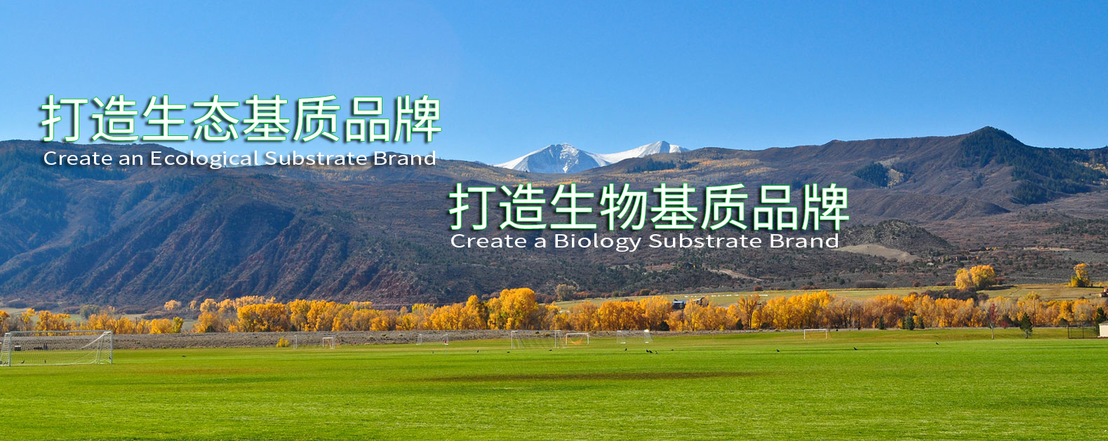 OG东方馆·(中国)有限公司官网