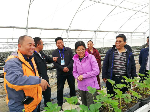 OG东方馆·(中国)有限公司官网