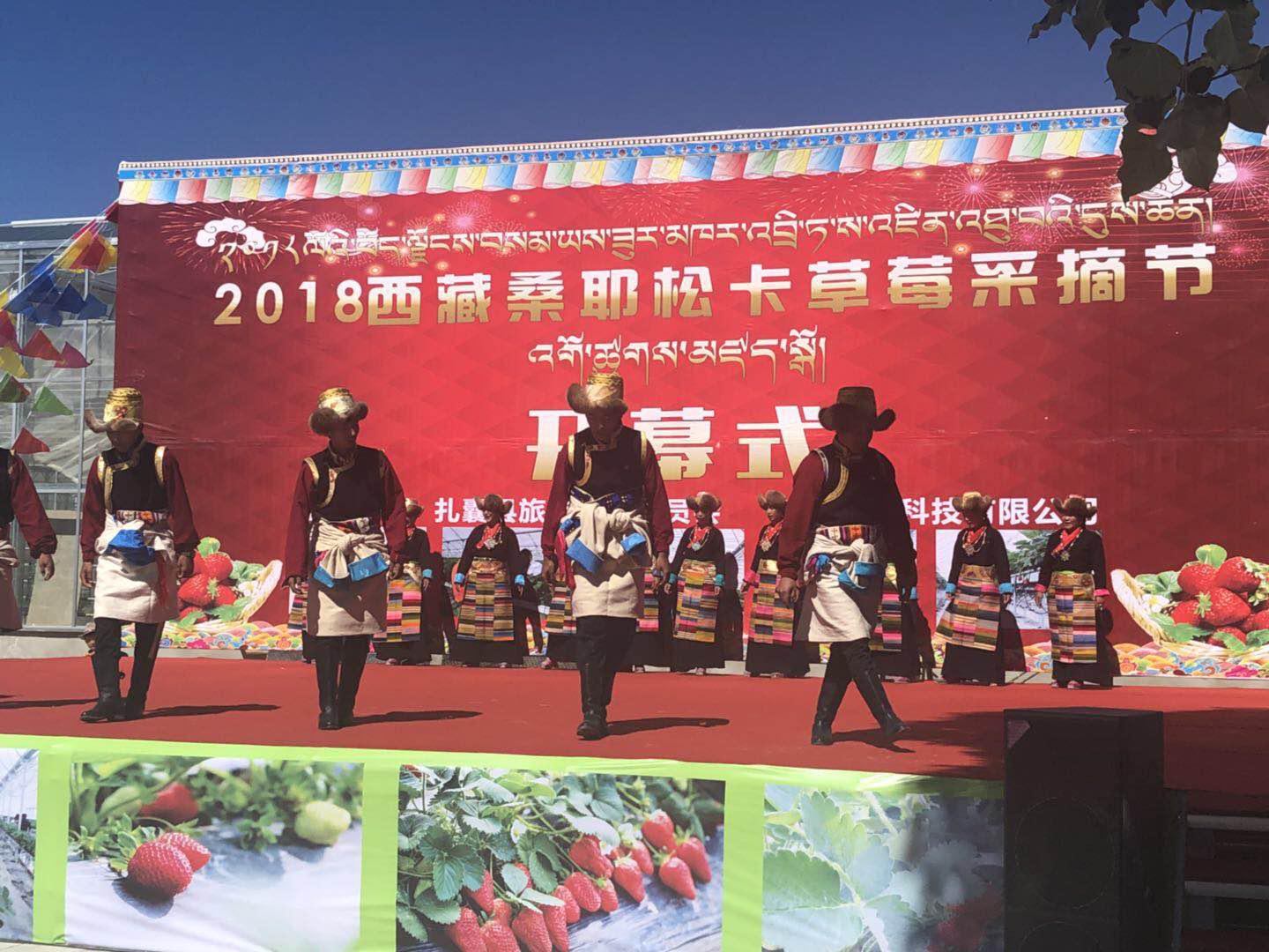 OG东方馆·(中国)有限公司官网