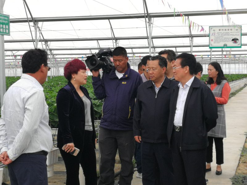 OG东方馆·(中国)有限公司官网