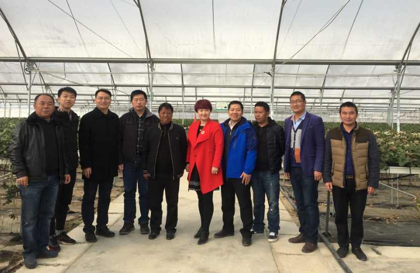 OG东方馆·(中国)有限公司官网