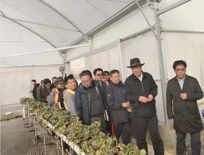 OG东方馆·(中国)有限公司官网