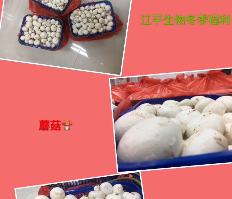 OG东方馆·(中国)有限公司官网