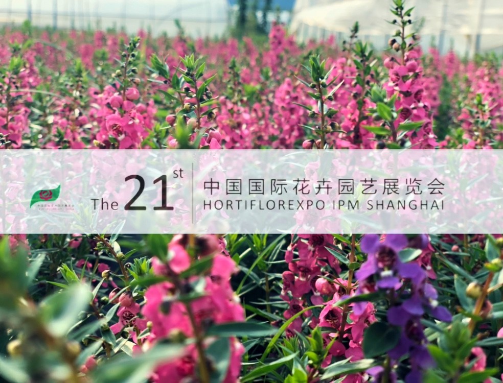 OG东方馆·(中国)有限公司官网
