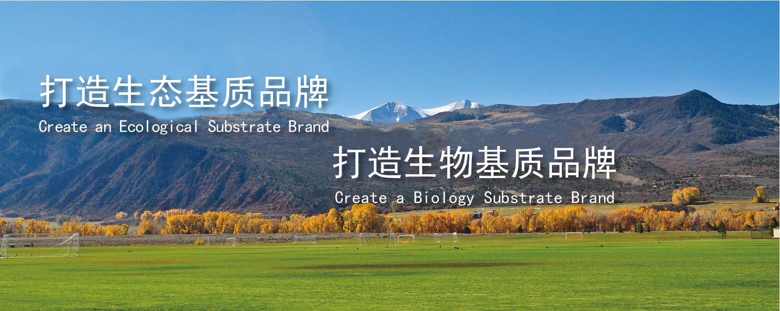 OG东方馆·(中国)有限公司官网
