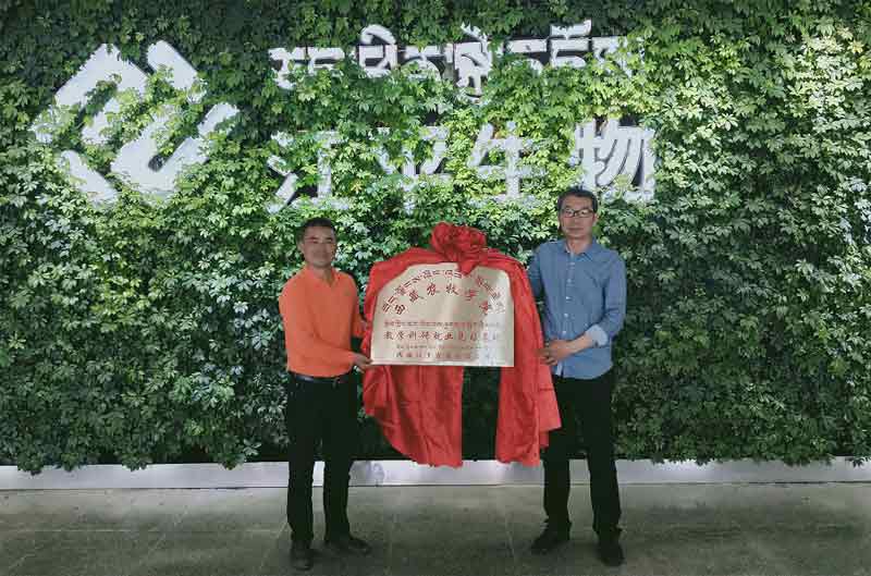 OG东方馆·(中国)有限公司官网