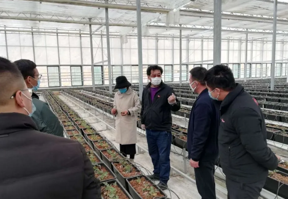 OG东方馆·(中国)有限公司官网