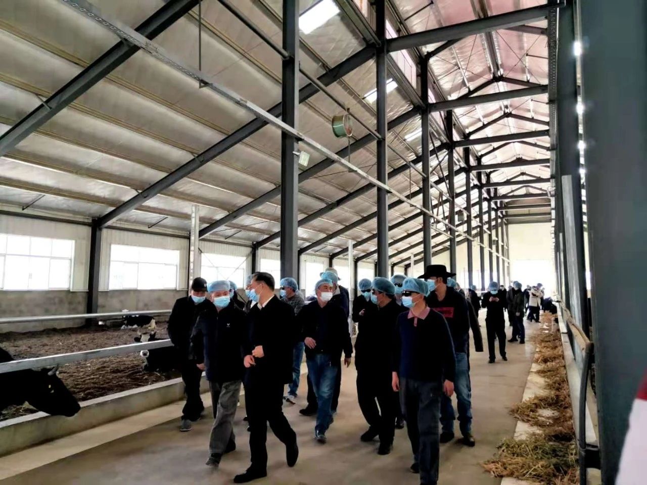 OG东方馆·(中国)有限公司官网