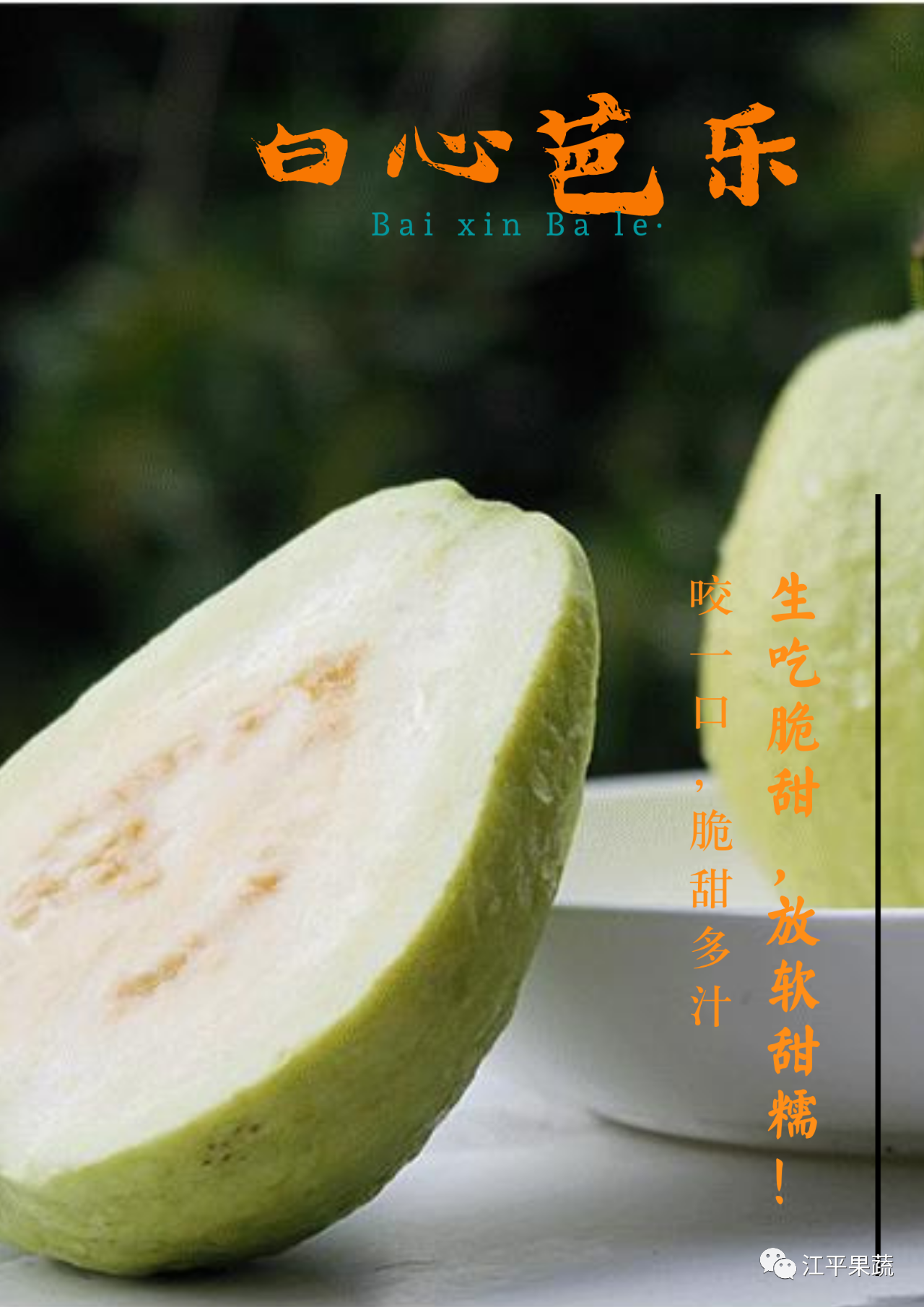 OG东方馆·(中国)有限公司官网