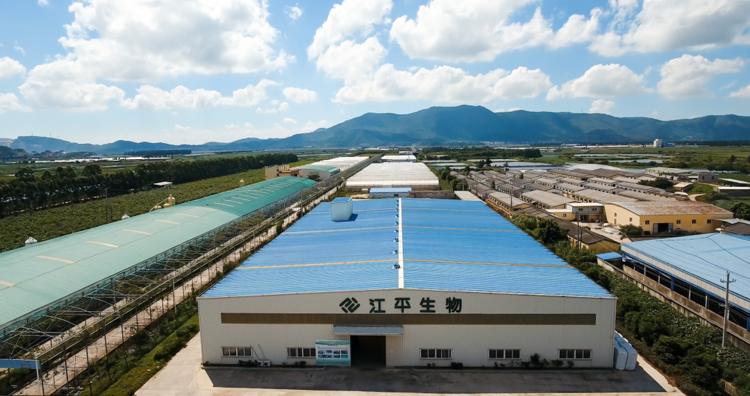 OG东方馆·(中国)有限公司官网