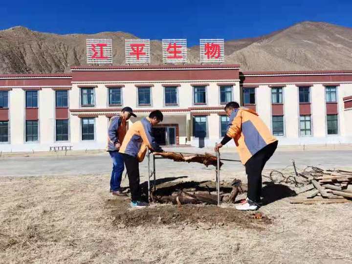 OG东方馆·(中国)有限公司官网