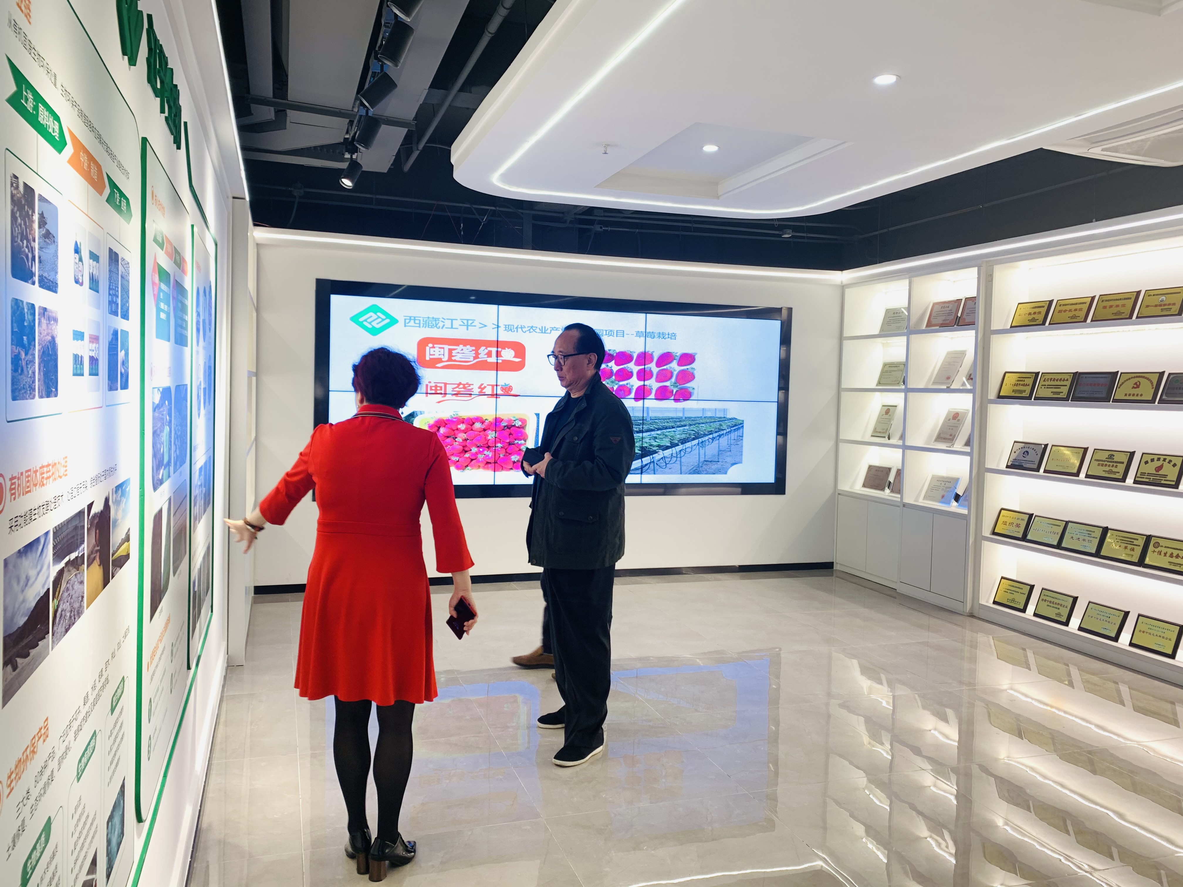 OG东方馆·(中国)有限公司官网