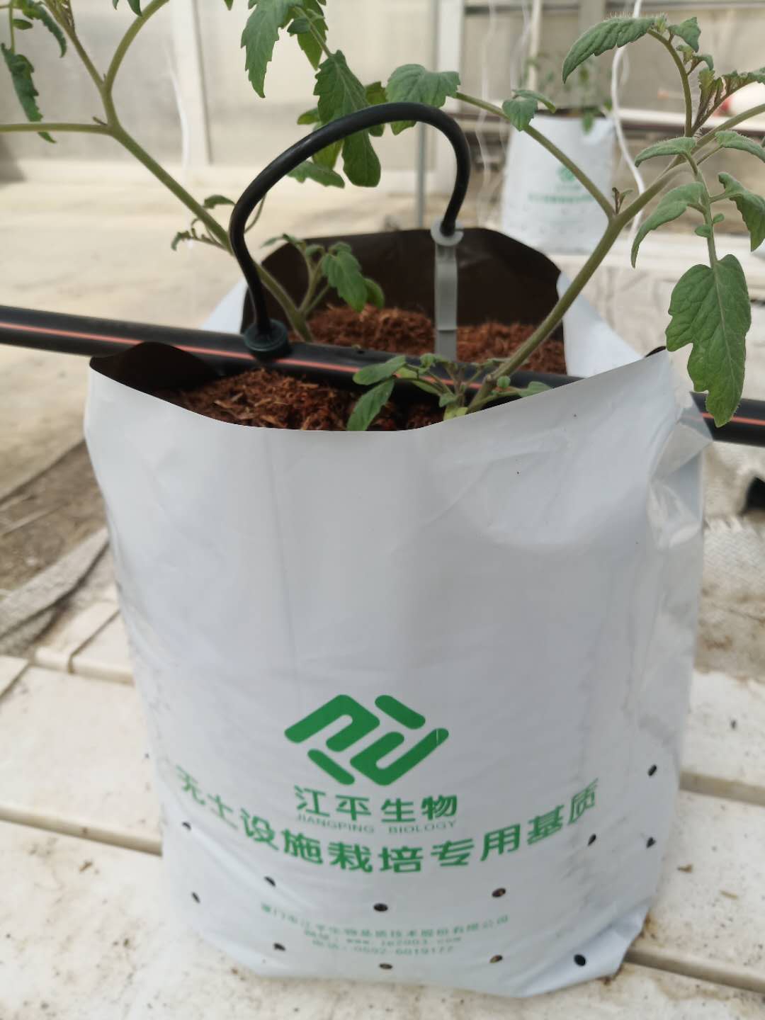 OG东方馆·(中国)有限公司官网