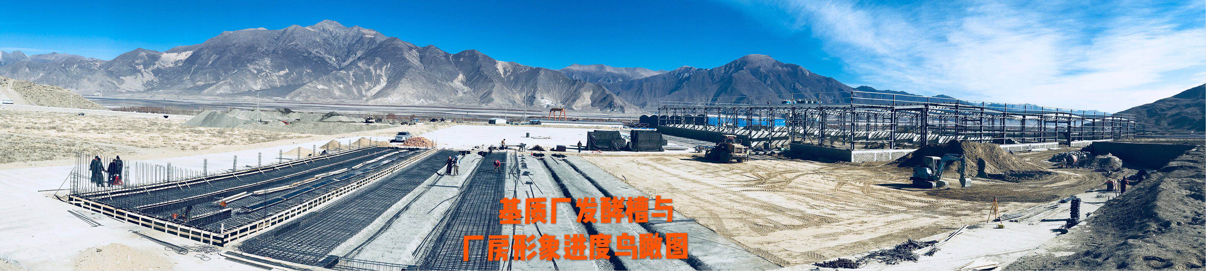 OG东方馆·(中国)有限公司官网