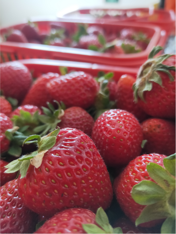 OG东方馆·(中国)有限公司官网