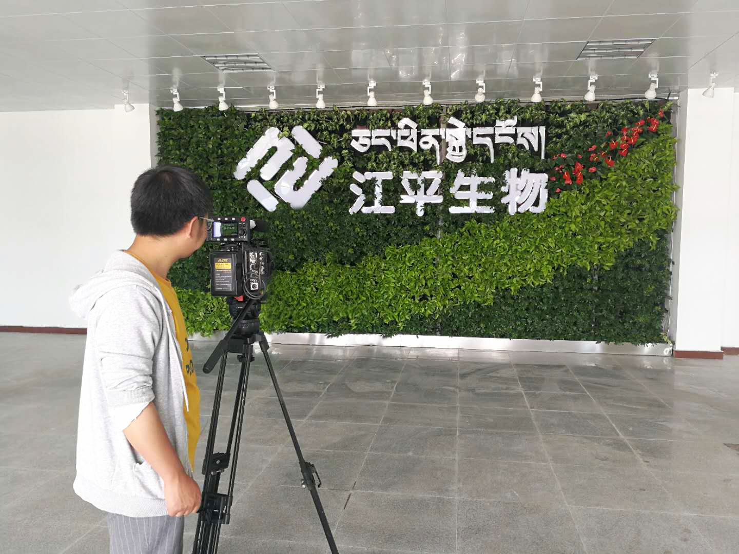 OG东方馆·(中国)有限公司官网