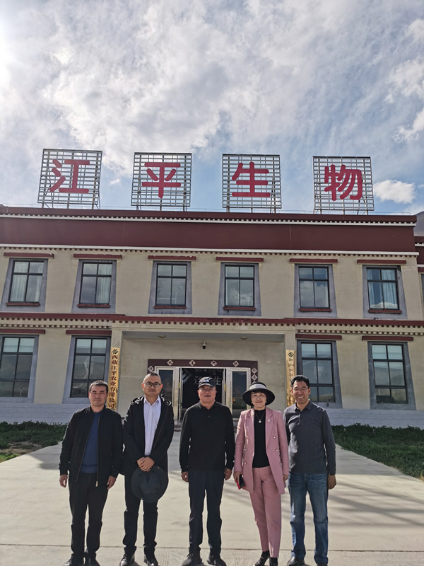 OG东方馆·(中国)有限公司官网