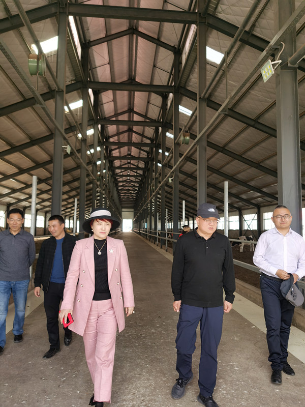 OG东方馆·(中国)有限公司官网