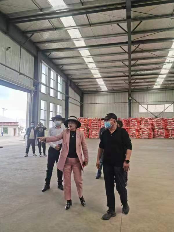 OG东方馆·(中国)有限公司官网