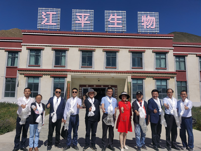 OG东方馆·(中国)有限公司官网