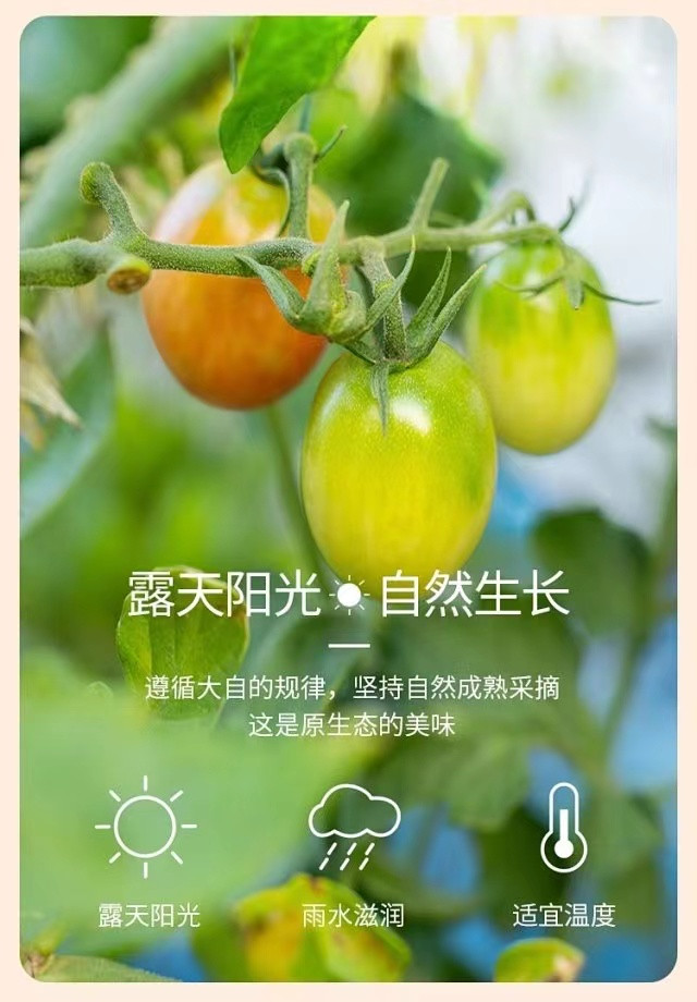 OG东方馆·(中国)有限公司官网