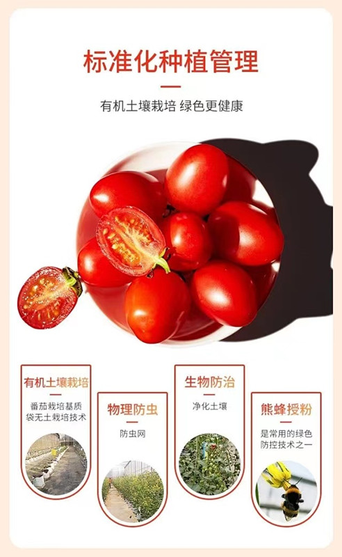 OG东方馆·(中国)有限公司官网