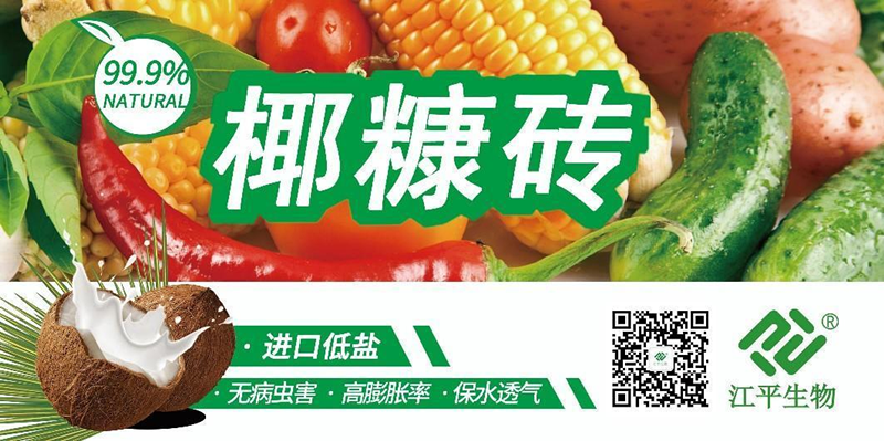 OG东方馆·(中国)有限公司官网