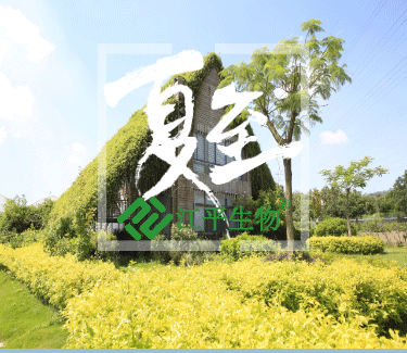 OG东方馆·(中国)有限公司官网